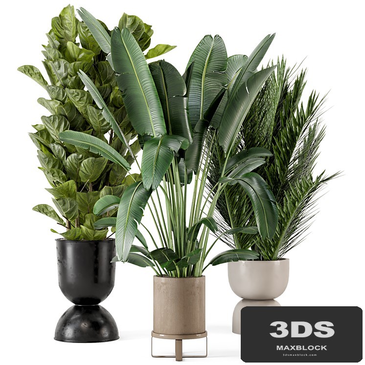 Indoor Plants in Ferm Living Bau Pot Large - Set 273