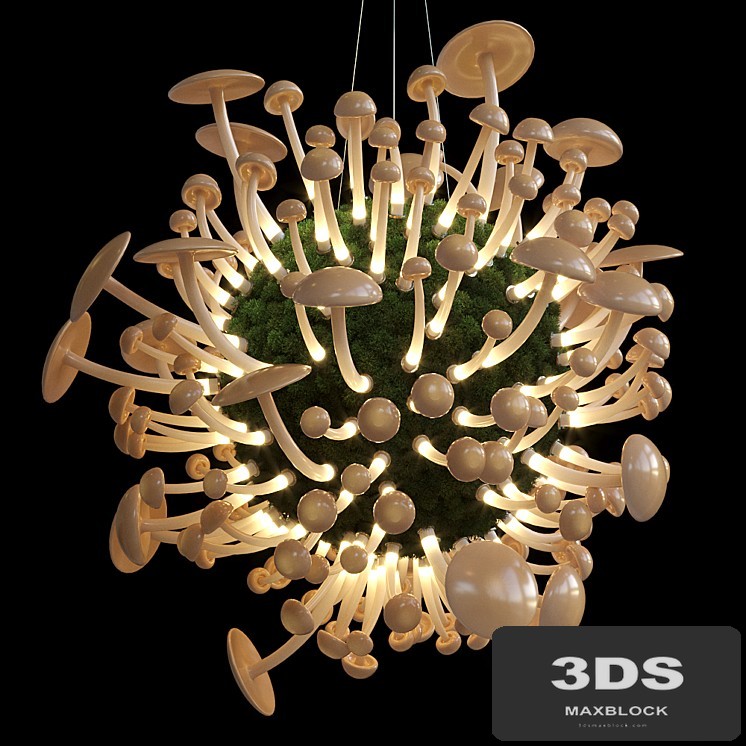 Mushrooms - Vargov Design