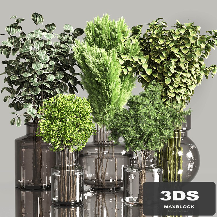 Collection Plants Bouquet Indoor 01
