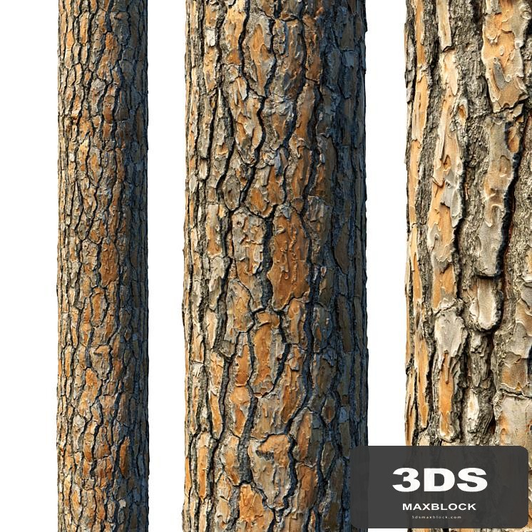 4k Pine Bark Material 03