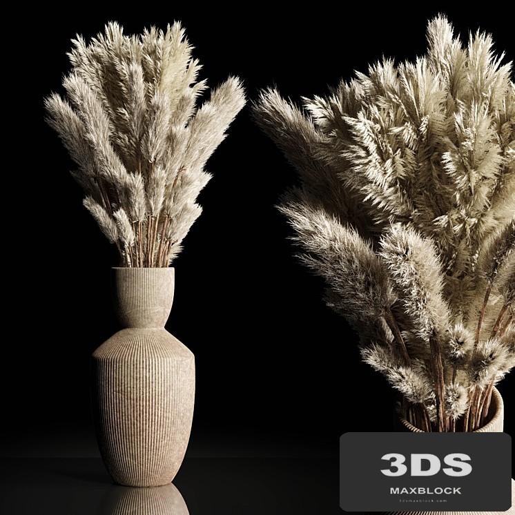 Dry Plants Bouquet Indoor concrete vase