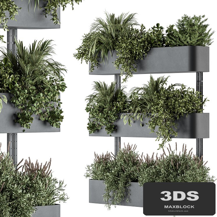 Indoor Plant Set 306 - Box Stand with Hanging Plants