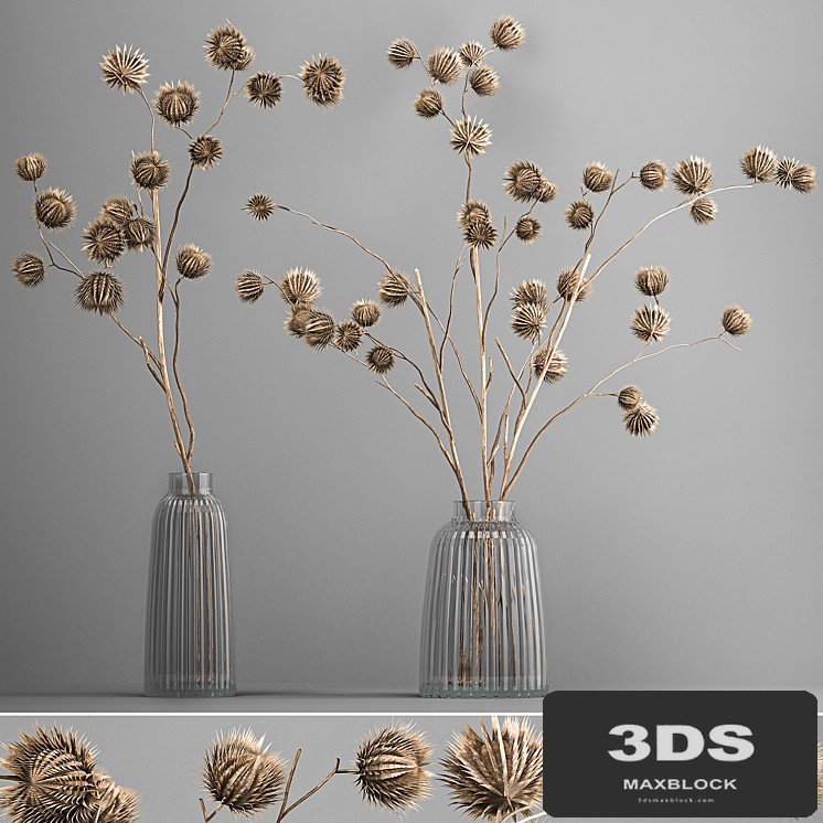 Bouquet of dried flowers in a vase with branches of dry thorns thistle . 182.