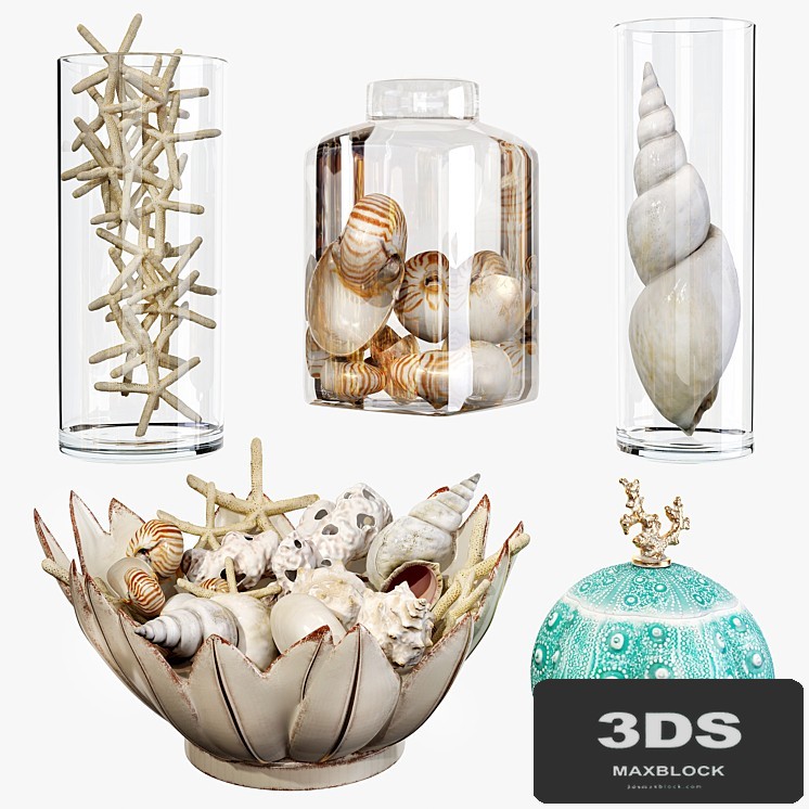 Sea shell decorative set 01
