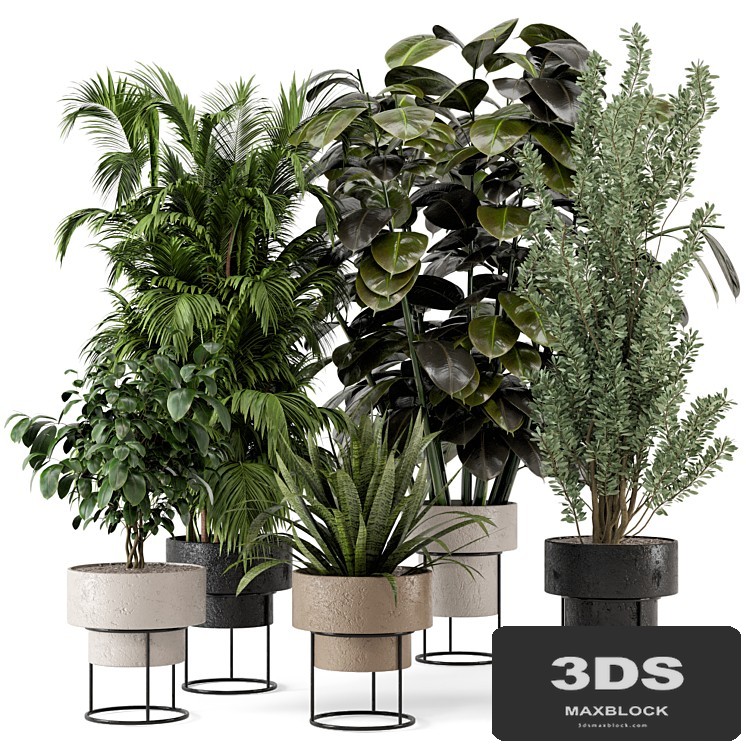 Indoor Plants in rusty Concrete Pot on Metal Shelf - Set 328