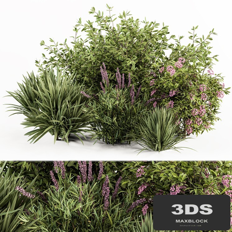 Mixed Plant Bush Green and Purple - Bush Set 50
