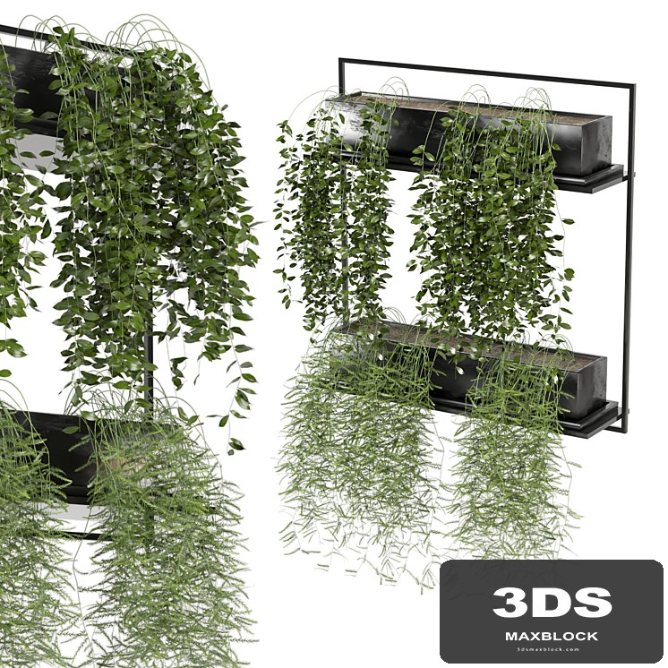 indoor hanging plants in metal box_set 142 - View 1