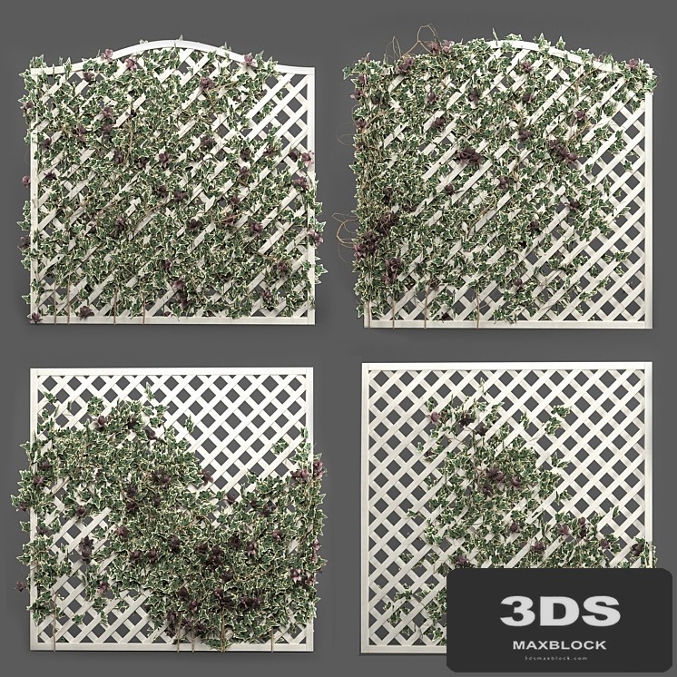 ivy grid panel( 4 different ivy composition)