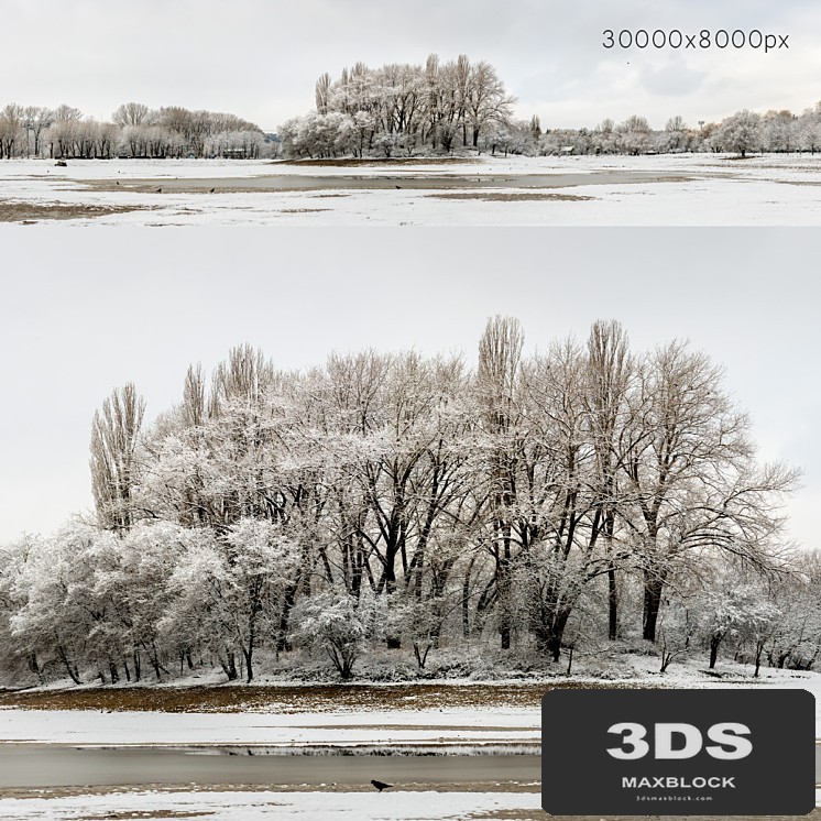 Panorama of the park with a lake and snow-covered trees. 30k