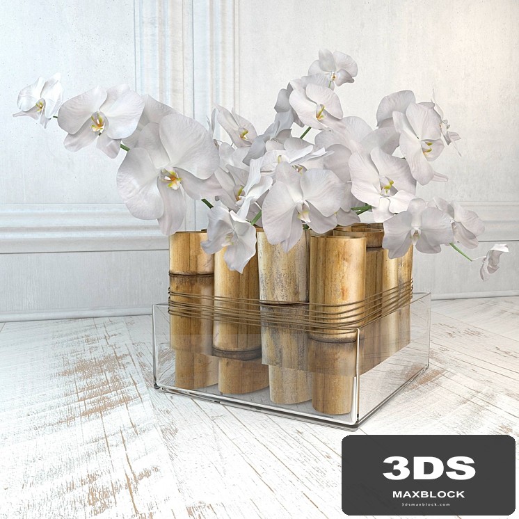 The composition with bamboo and orchids