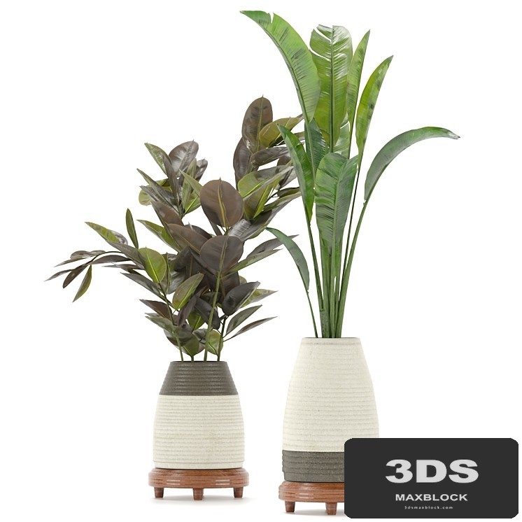 Collection Indoor Plants Set Nim01