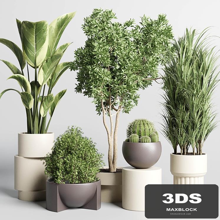 Collection of indoor plants with modern minimal pots 170