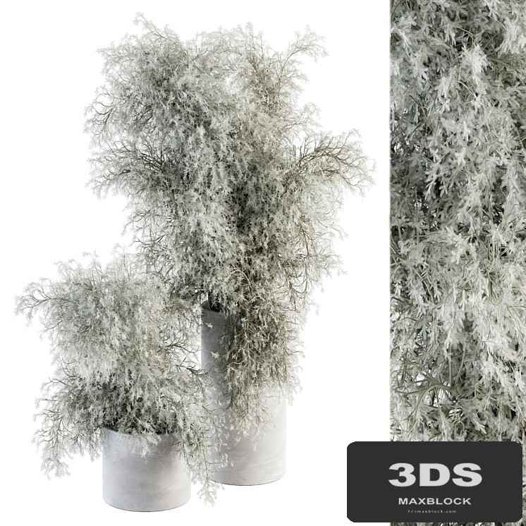 Bouquet - Green Branch in Concrete vase 79