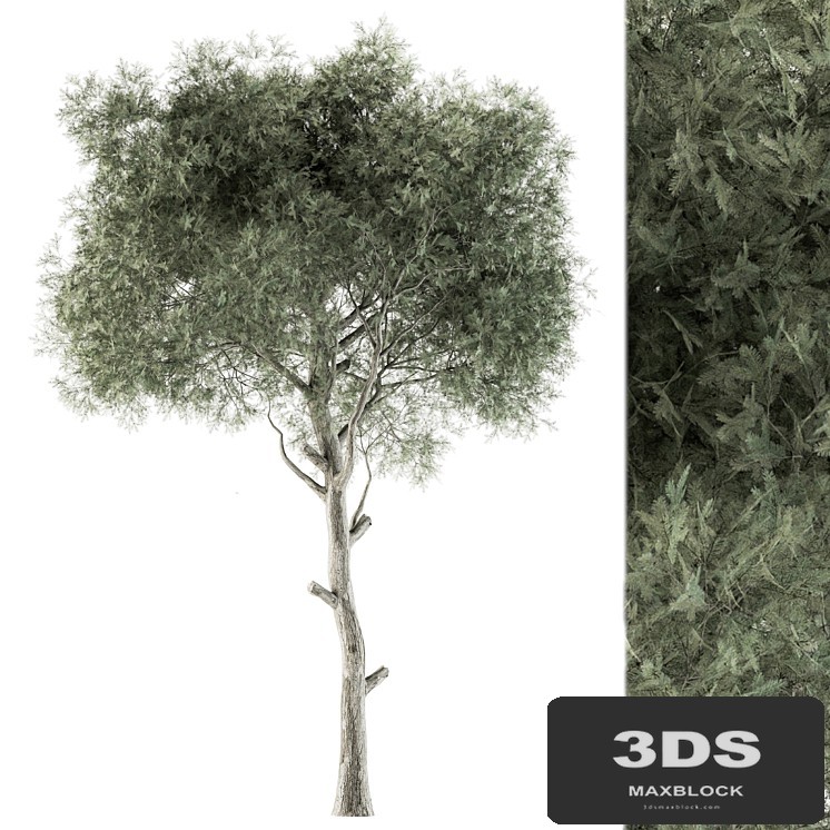Tree Green Needle - Set 63