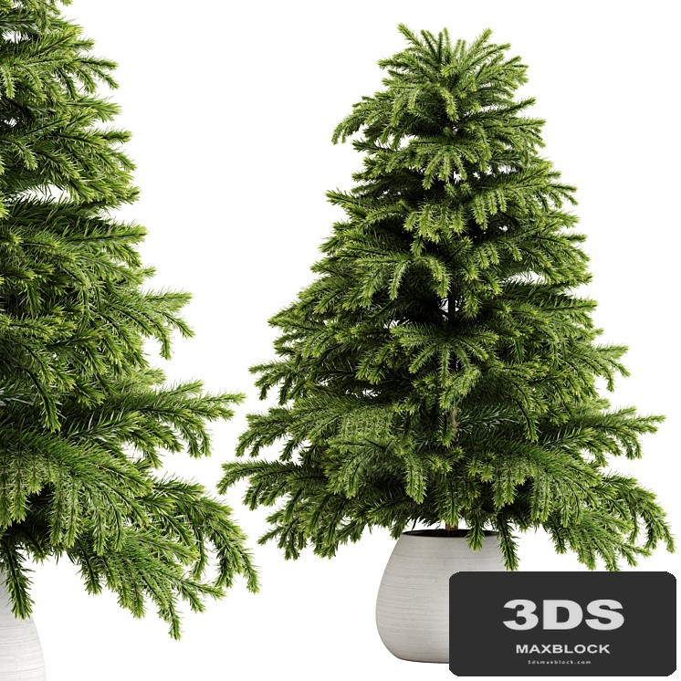 indoor plant Set 18
