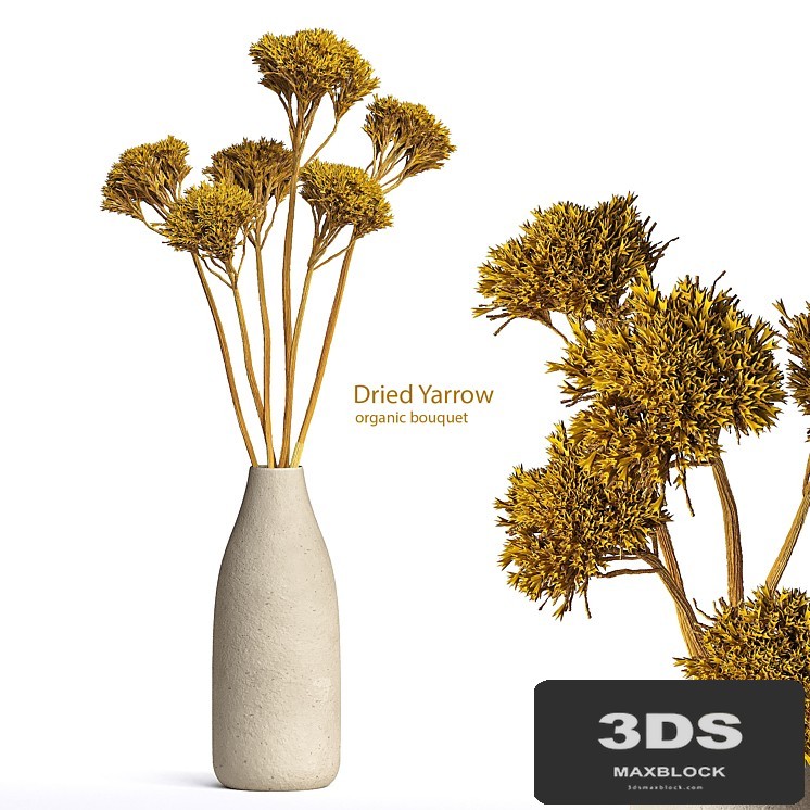 Dried Organic Bouquet Yarrow