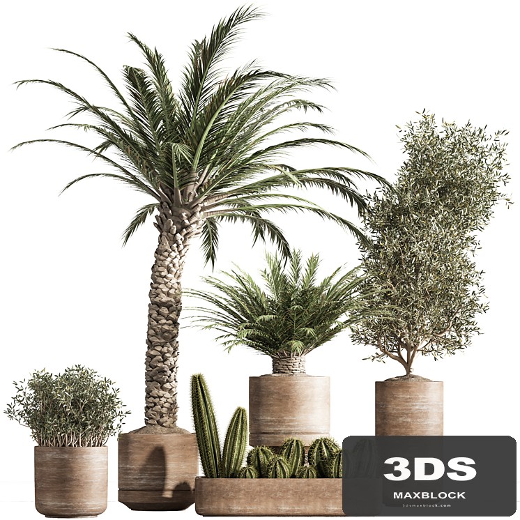 indoor plant set 41