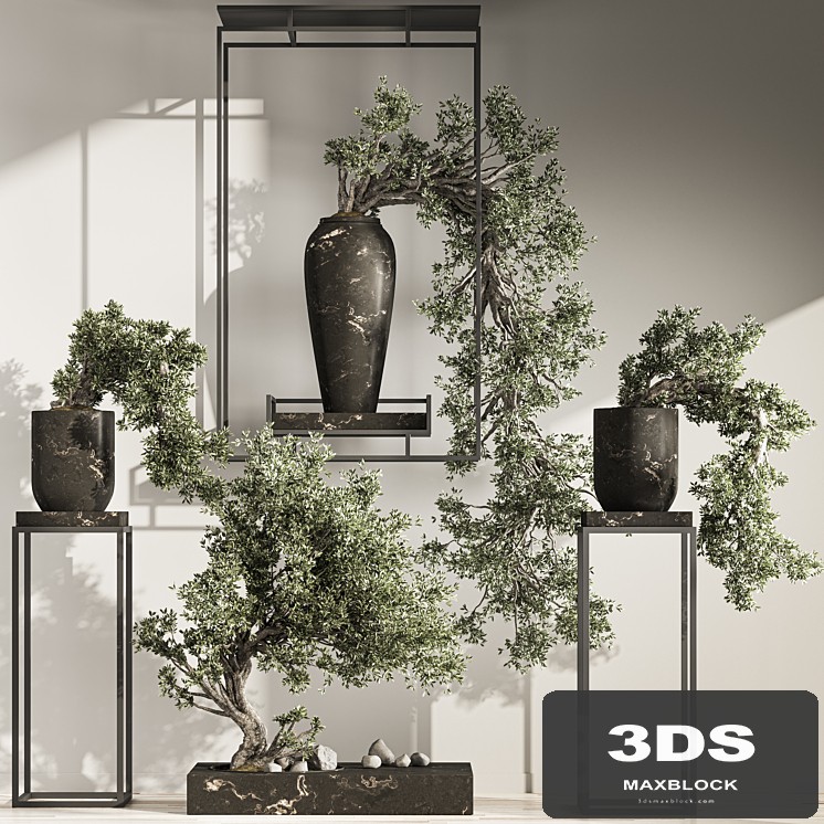 Bonsai And Indoor Plant Set 43