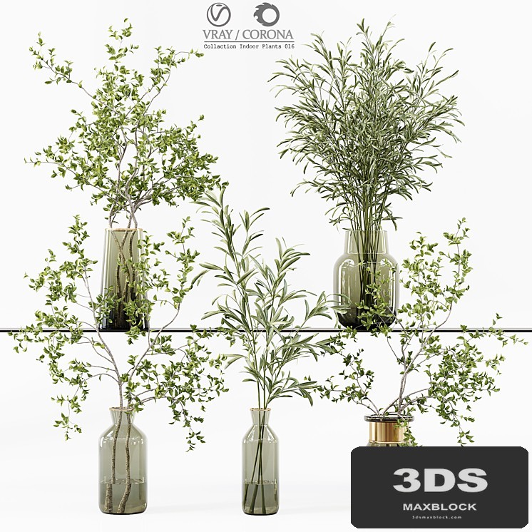 Collection Indoor Plants 016