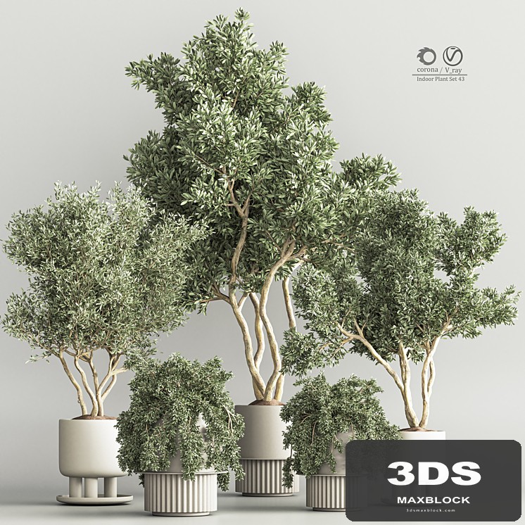 Indoor Plant Set 48