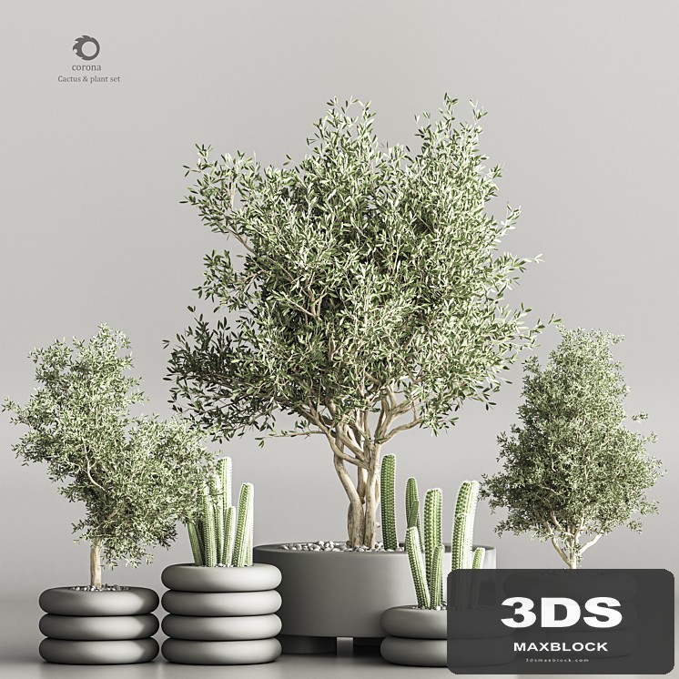 cactus & plant vol 06