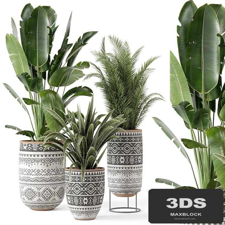 Indoor Plants in rusty Concrete Pot - Set 628
