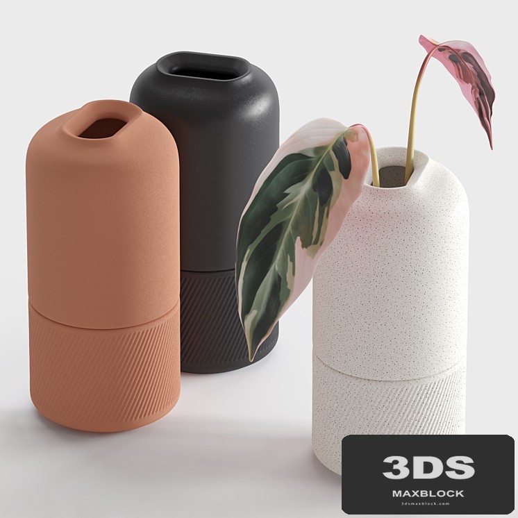 Ceramic Vases (Zenn Vases by Axioma)
