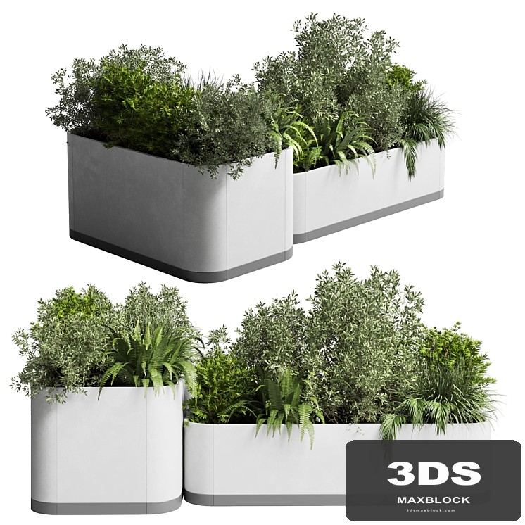 stand plant box - collection Indoor plant 212 concrete vase pot fern grass