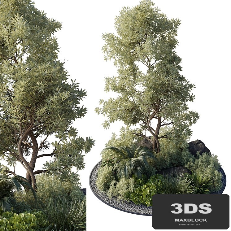 Collection outdoor indoor 89 pot plant & tree & bush & fern the garden pot