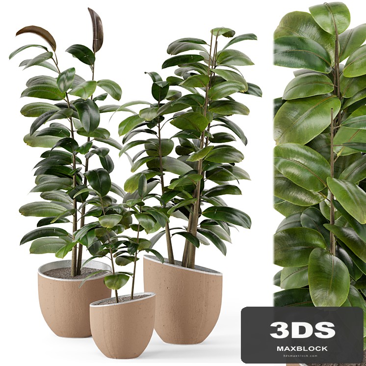 Indoor Plants in rusty Concrete Pot - Set 692