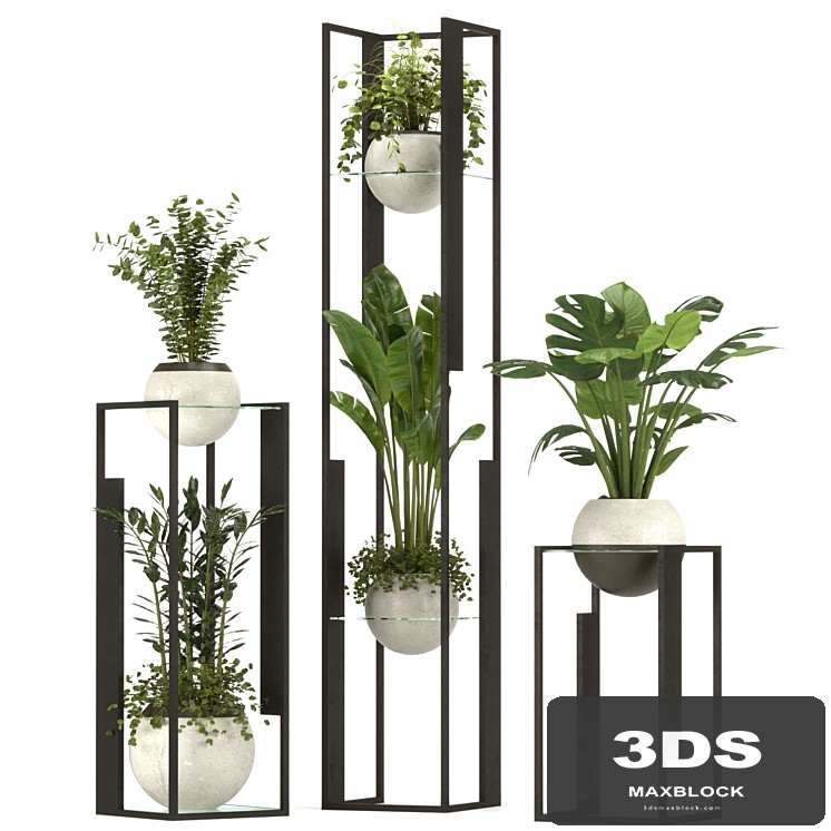 Collection Indoor Plants Nim12