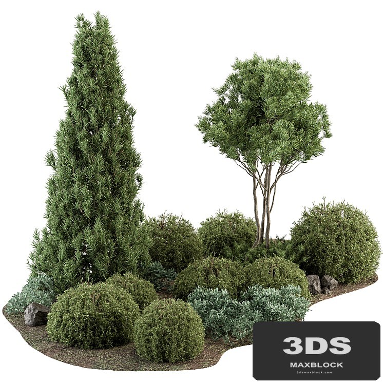 Garden Set Topiary and pine Plants - Outdoor Plants Set 410