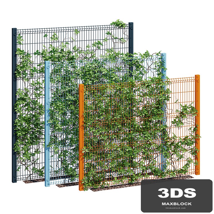 ivy wall eight