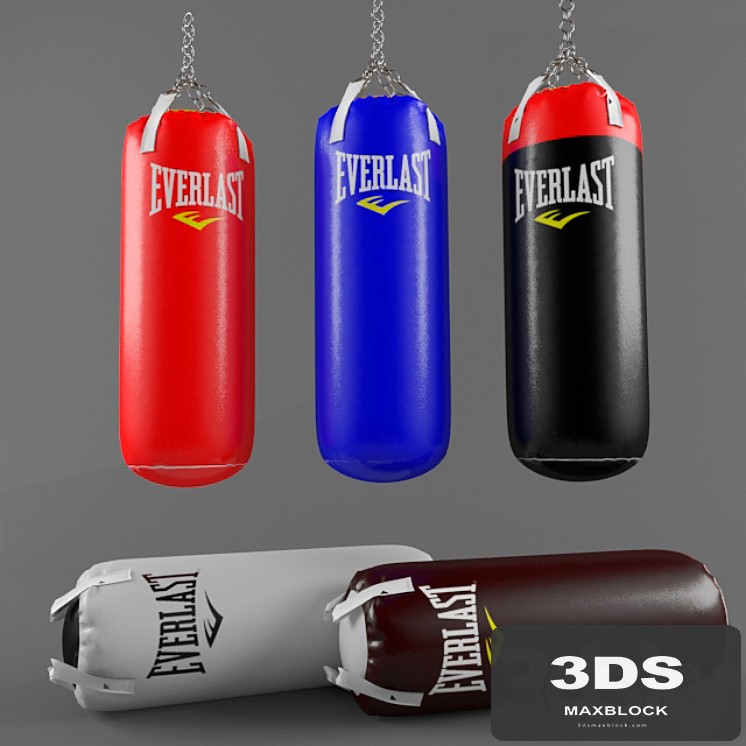 Everlast punching bags
