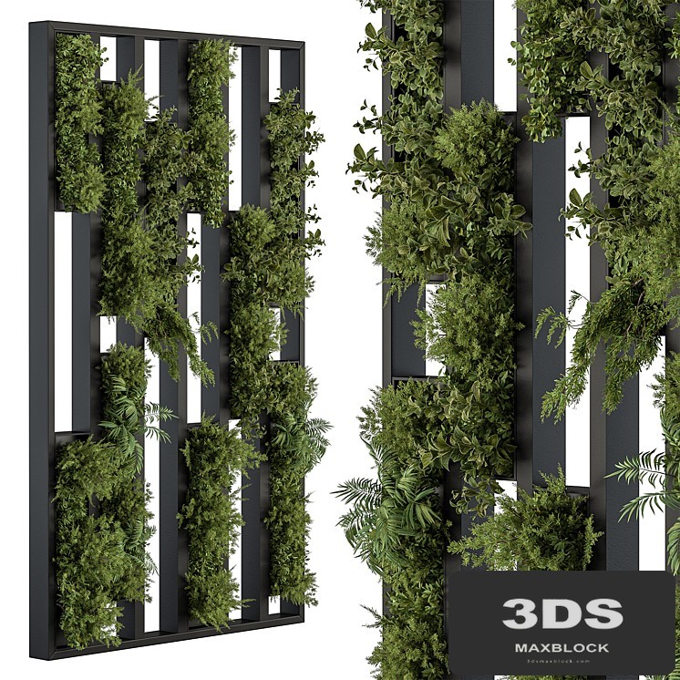 Green Wall - Plants partition 04