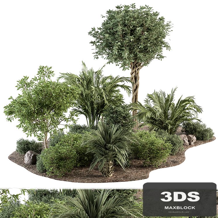Garden Plants - Outdoor Plants 442