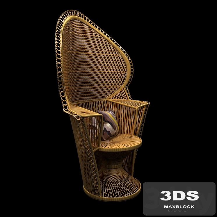Wicker Rattan Fan Back Peacock Chair - Vintage