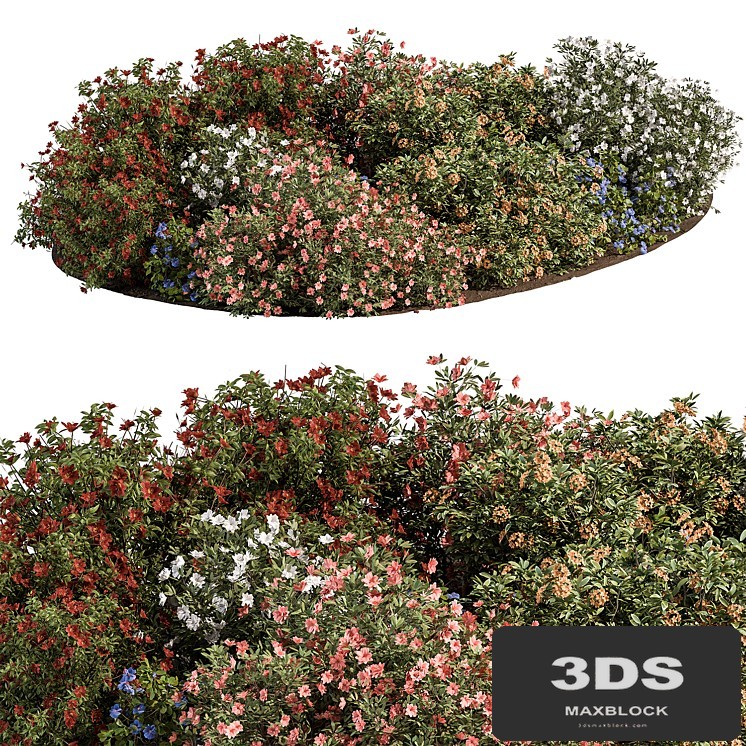 Garden colorful Flower Bush - Set 452