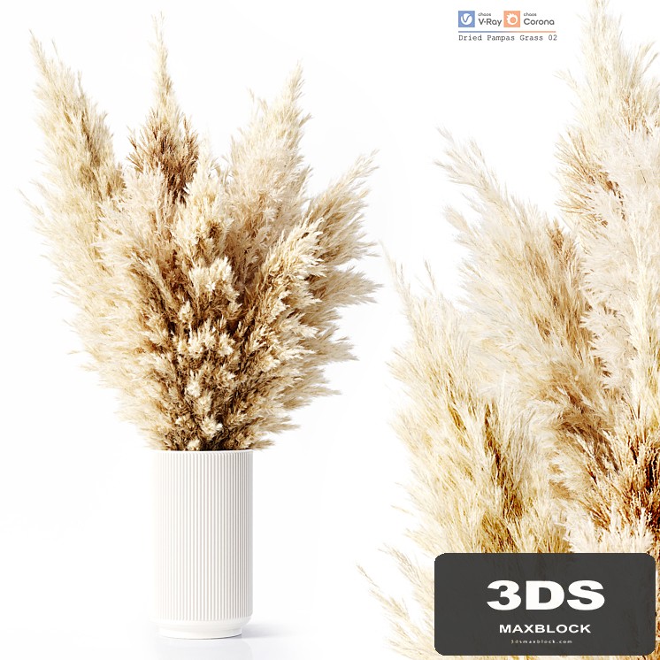 Dried Pampas Grass 02