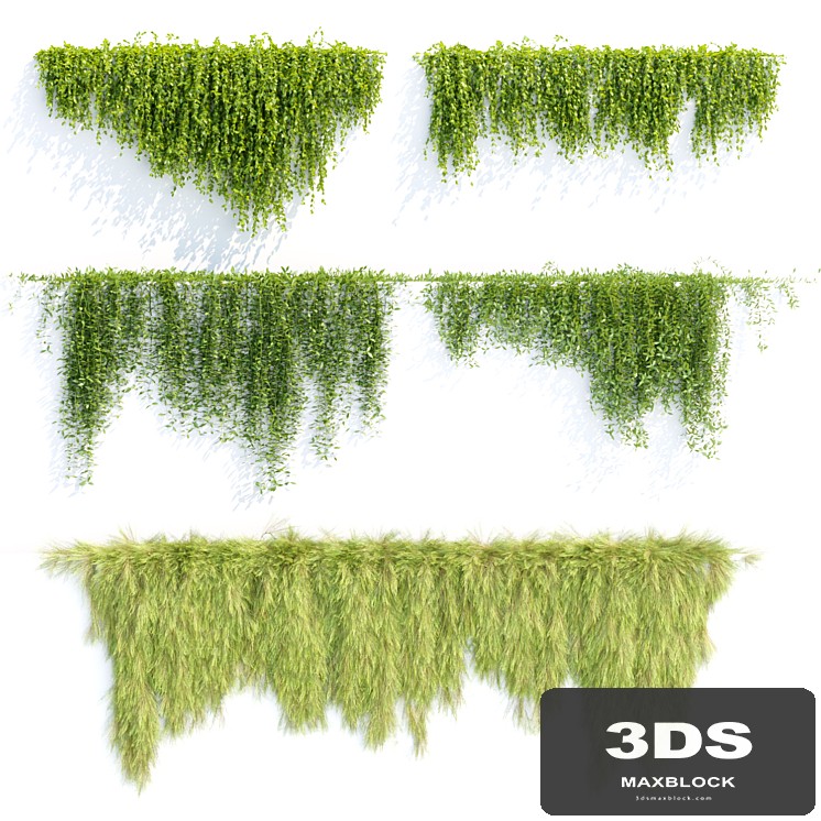 Creeper plants for wall collection vol 144