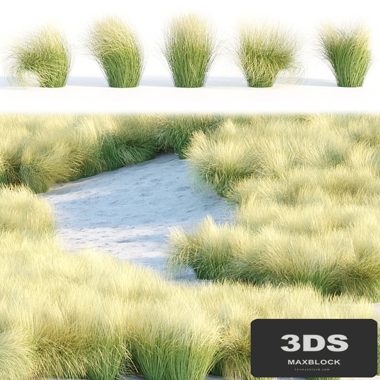 Maram Grass collection vol 155