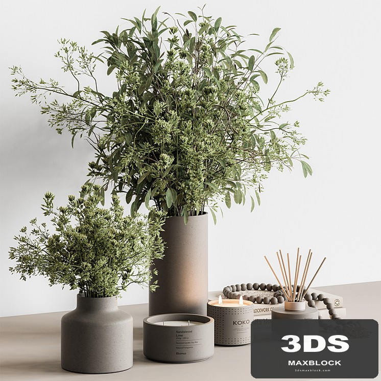 Vase and Plant Decorative Set - Set 126