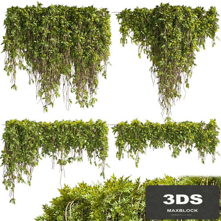 Collection plant vol 425