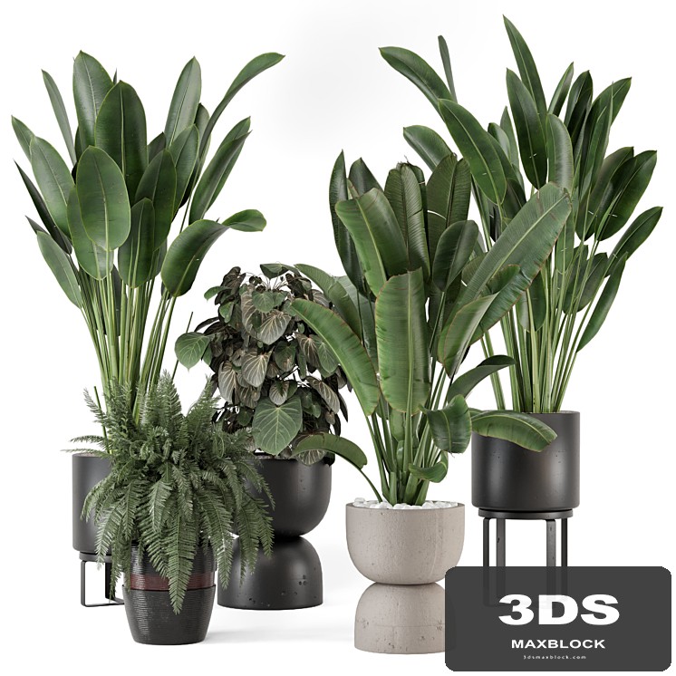 Indoor Plants in Ferm Living Bau Pot Large - Set 1256
