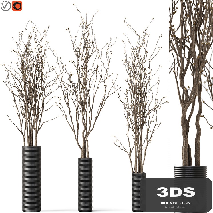 decorative branch 07