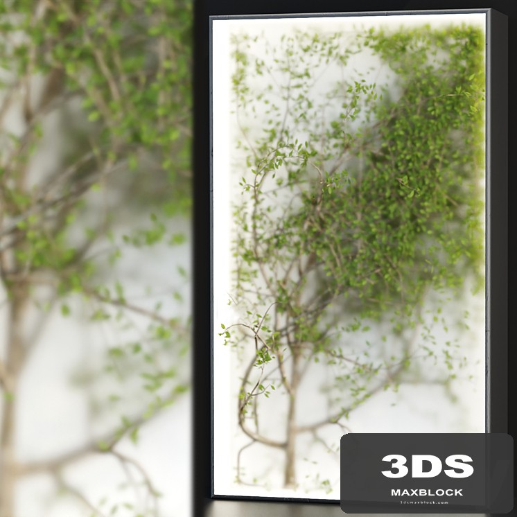 Plants in the light box vol 176