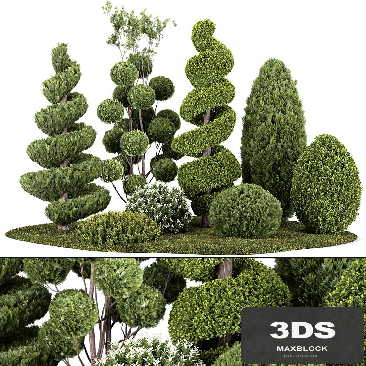 Group outdoor plants & Hedges