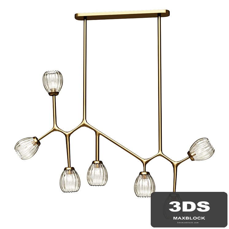 Chandelier Light Fixture