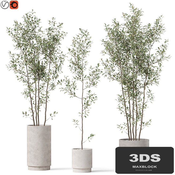 Plants collection 901