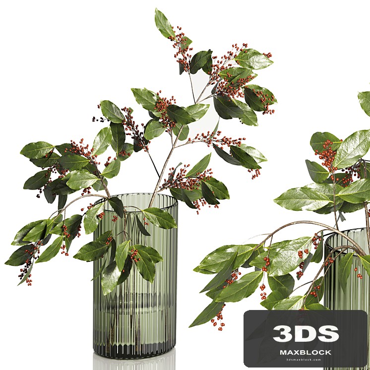 Decorative Plants 02